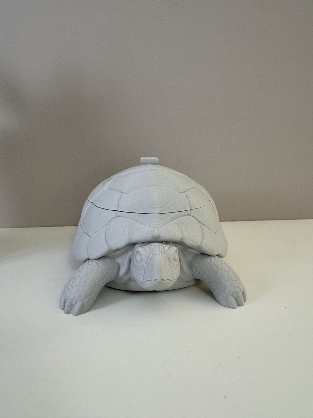 Turtle Trinket Dish – Key & Accessories Holder | Ring Bowl Animal Home Decor