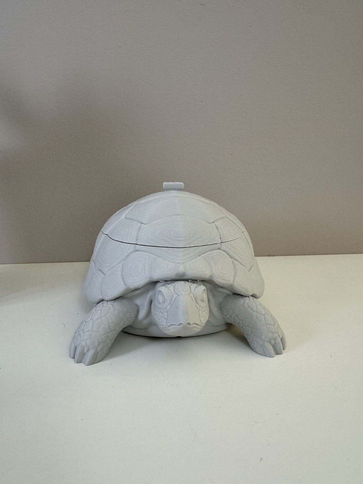 Turtle Trinket Dish – Key & Accessories Holder | Ring Bowl Animal Home Decor