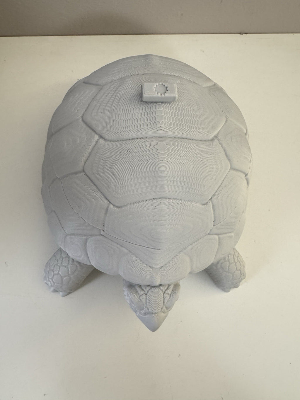 Turtle Trinket Dish – Key & Accessories Holder | Ring Bowl Animal Home Decor