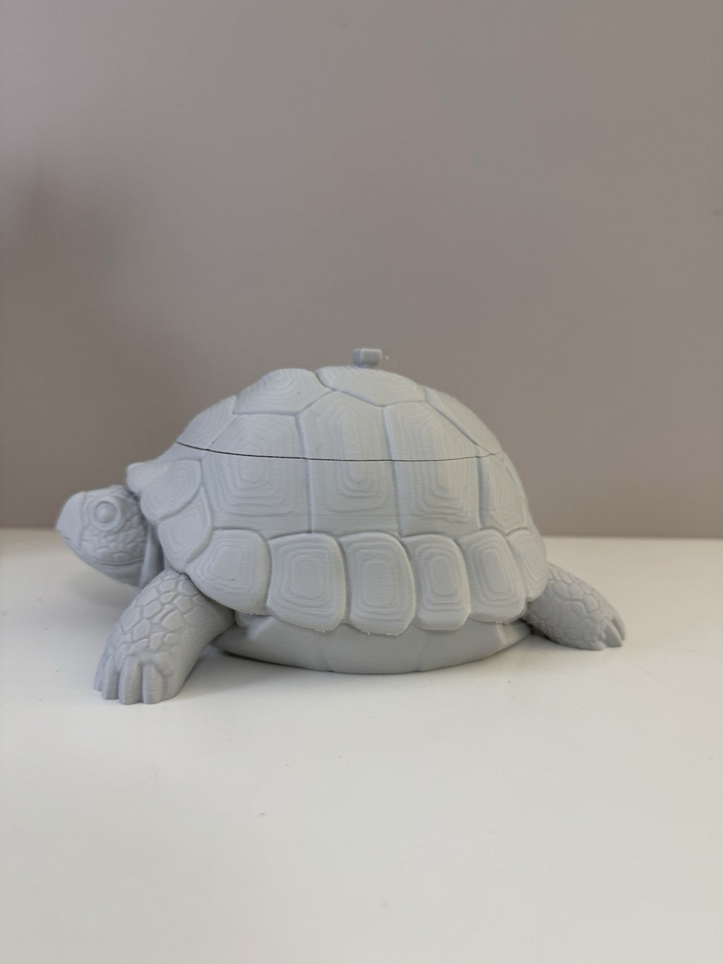 Turtle Trinket Dish – Key & Accessories Holder | Ring Bowl Animal Home Decor
