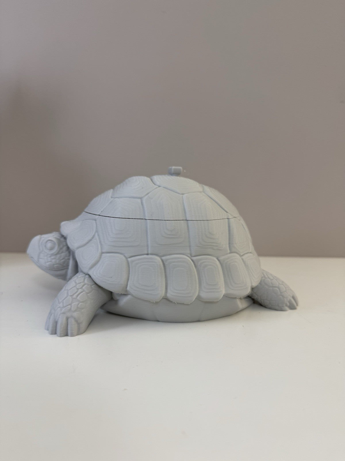 Turtle Trinket Dish – Key & Accessories Holder | Ring Bowl Animal Home Decor
