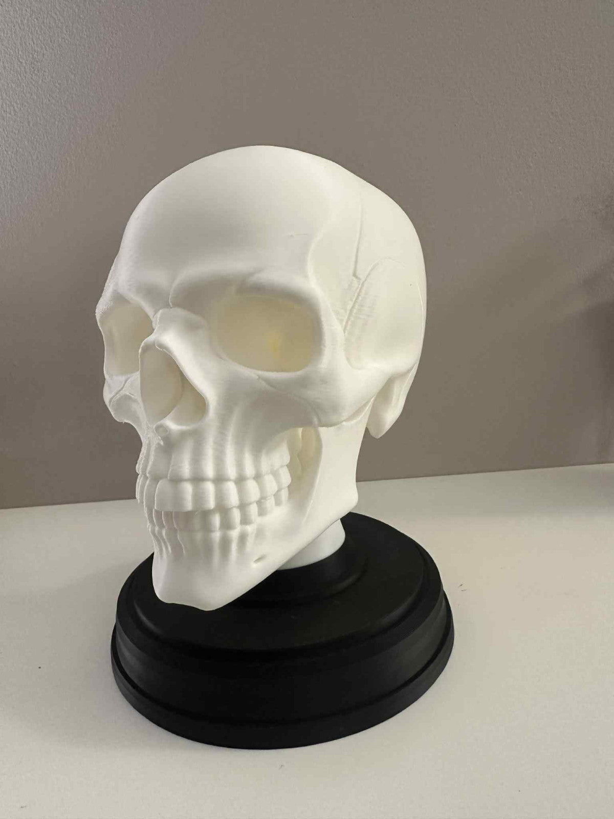 Gothic Human Skull Model on Black Stand – Halloween Prop, Horror Decor, Anatomic