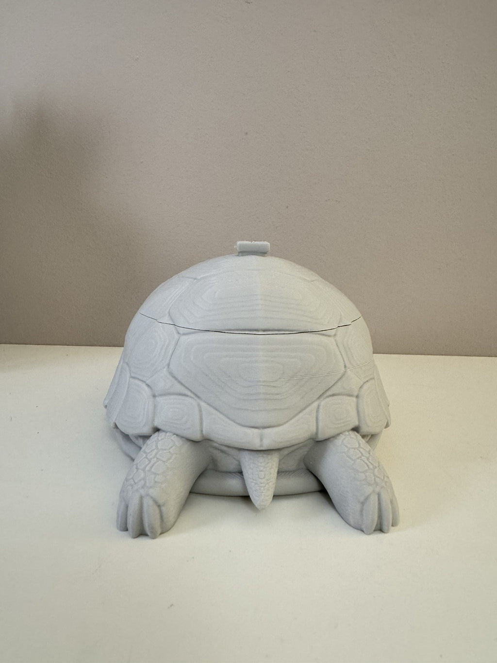 Turtle Trinket Dish – Key & Accessories Holder | Ring Bowl Animal Home Decor