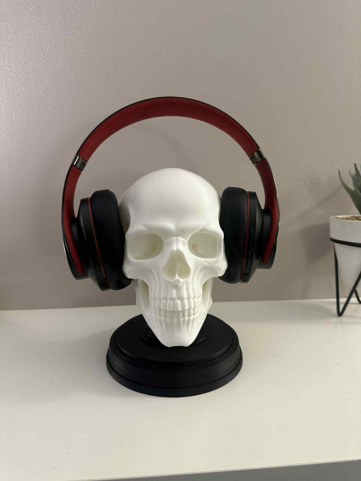 Gothic Human Skull Model on Black Stand – Halloween Prop, Horror Decor, Anatomic